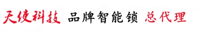 南京智能门锁